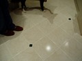 P1010046